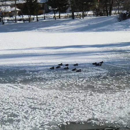 Neustift Near Stubai Lift Daire